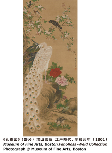 《孔雀図》 増山雪斎 江戸時代、享和元年（1801）